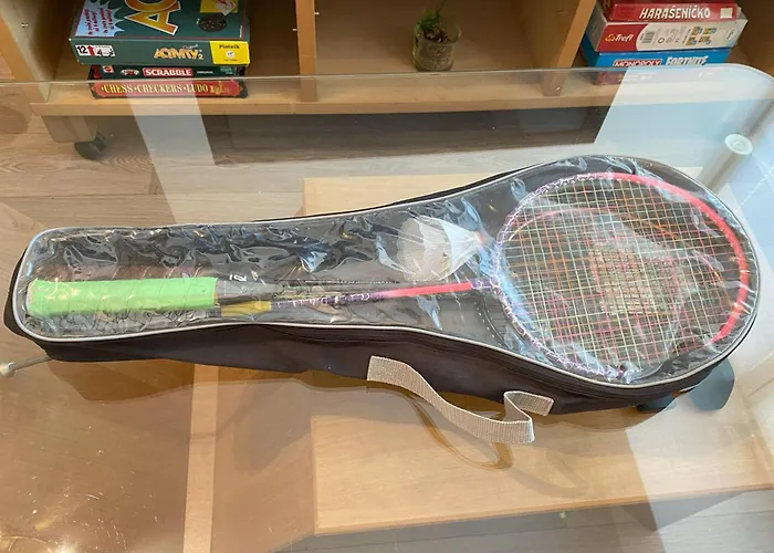 Rodinny Dum Radoska * Divisov